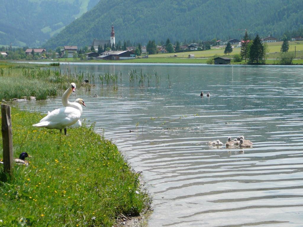 Appartement Pillersee Занкт-Ульріх-ам-Піллерзе Екстер'єр фото